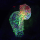Image for article titled These Amazing Cardio Images Will Make Your Heart Race